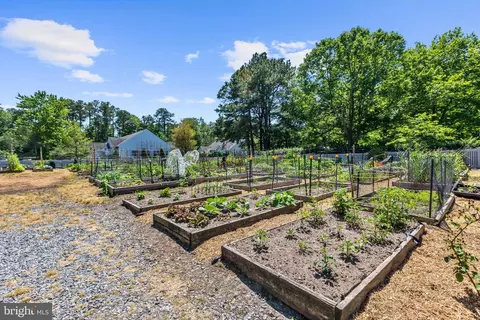 7 Arcadia Ct, Berlin, MD 21811 photo 62