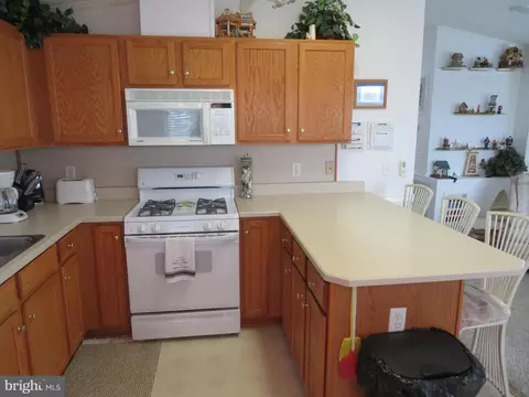 7 Deep Sea Dr, Berlin, MD 21811 photo 27
