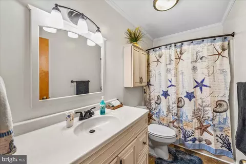 9237 Morris Rd, Bishopville, MD 21813 photo 19
