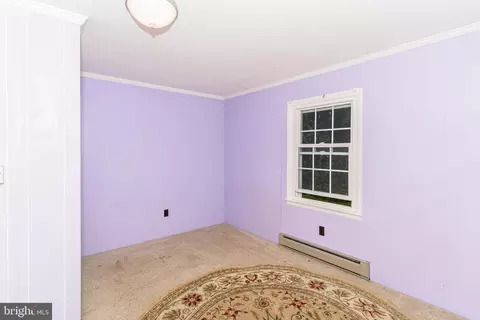10249 Friendship Rd, Berlin, MD 21811 photo 34