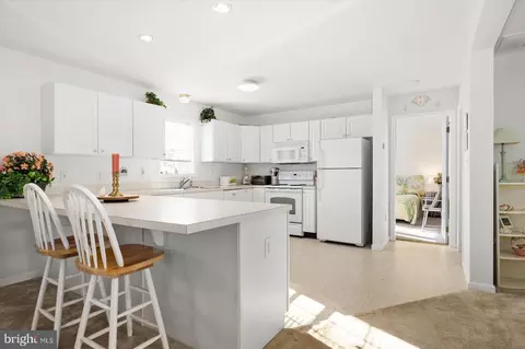 17 Blue Heron Cir, Berlin, MD 21811 photo 11