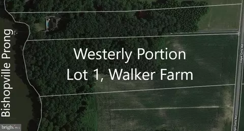 Westerly Portion Lot 1, Bishopville, MD 21813