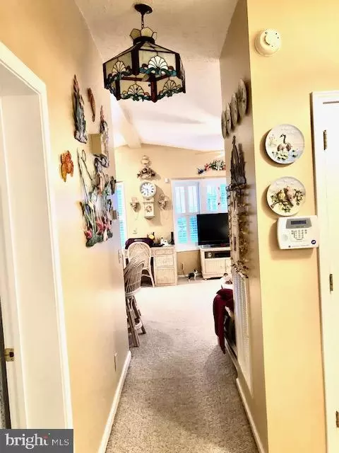 208 Timberline Cir, Berlin, MD 21811 photo 31