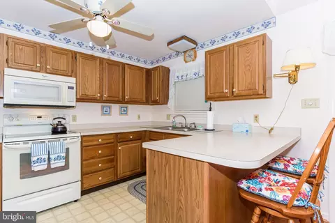 207 Ocean Pkwy, Berlin, MD 21811 photo 26