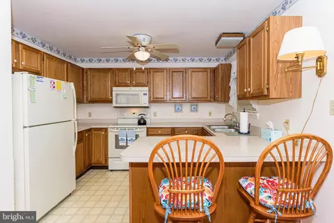 207 Ocean Pkwy, Berlin, MD 21811 photo 28