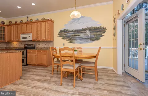 43 Chatham Ct, Berlin, MD 21811 photo 15