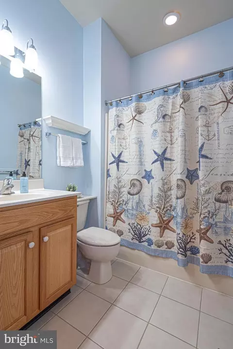 43 Chatham Ct, Berlin, MD 21811 photo 11