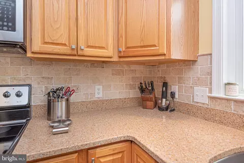 309 Buttercup Ct, Berlin, MD 21811 photo 29