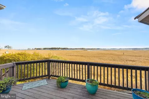 102 Robin Hood Trl, Berlin, MD 21811 photo 62