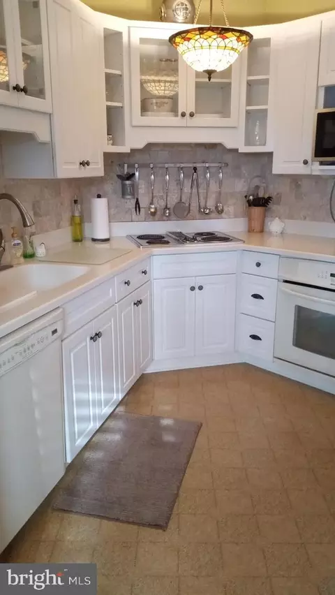 8 Mallard Dr W, Berlin, MD 21811 photo 7