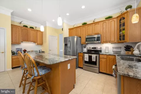 8 Alexandria Ct, Berlin, MD 21811 photo 23