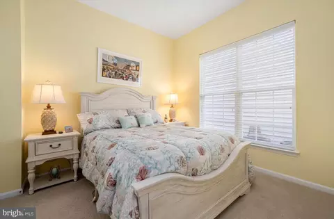 8 Alexandria Ct, Berlin, MD 21811 photo 35