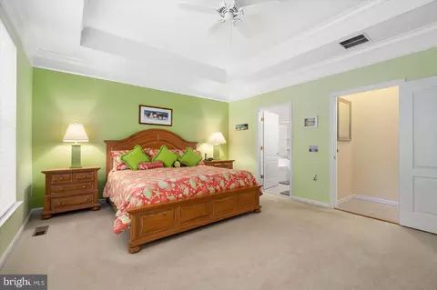 8 Alexandria Ct, Berlin, MD 21811 photo 31