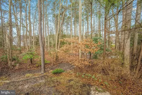 8 Alexandria Ct, Berlin, MD 21811 photo 42