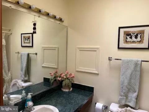 Bath - 160 Seafarer Ln, Ocean Pines, MD 21811 photo 1 of 3