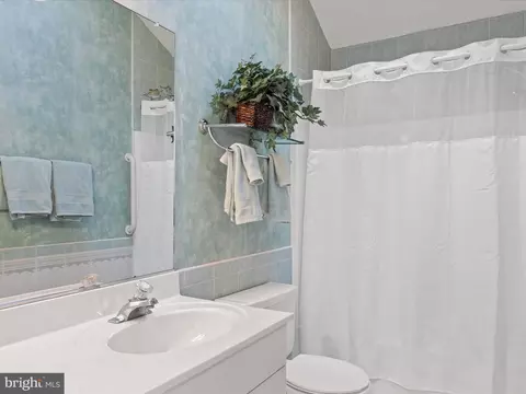 Bath - 4 Fleet Ct, Berlin, MD 21811 photo 3 of 3