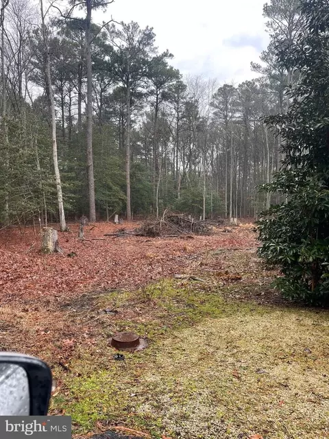 205 Charleston Rd, Berlin, MD 21811