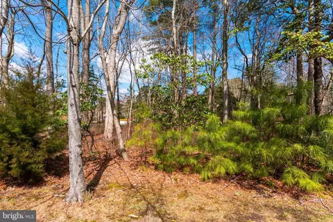View/Area - 11 Freeport Ln, Berlin, MD 21811 photo 2 of 6