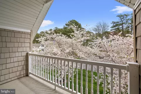Exterior - 135 Pine Forest Dr, Berlin, MD 21811 photo 7 of 14