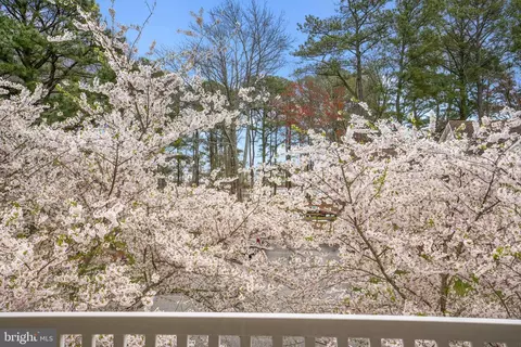 View/Area - 135 Pine Forest Dr, Berlin, MD 21811 photo 1 of 2