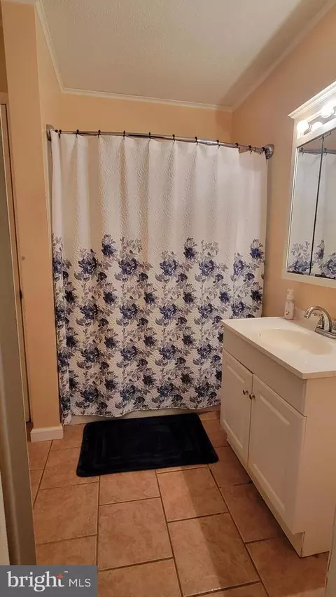 Bath - 6040 Basket Switch Rd, Snow Hill, MD 21863 photo 1 of 3