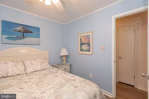 186 Teal Cir, Berlin, MD 21811 photo 33