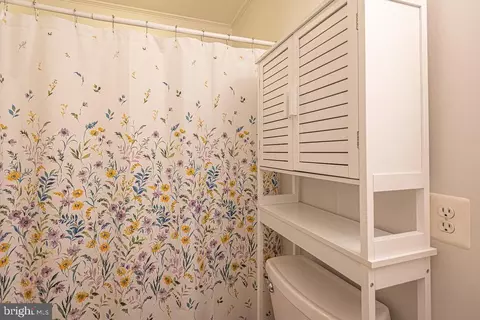 186 Teal Cir, Berlin, MD 21811 photo 35