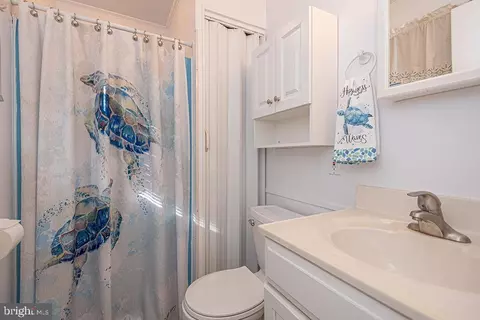186 Teal Cir, Berlin, MD 21811 photo 43