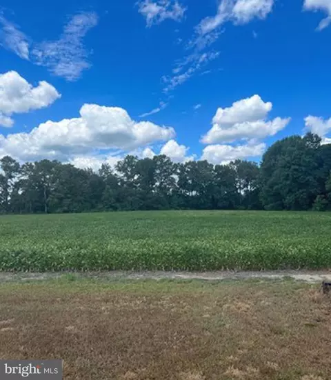 0 Scotty Rd, Snow Hill, MD 21863