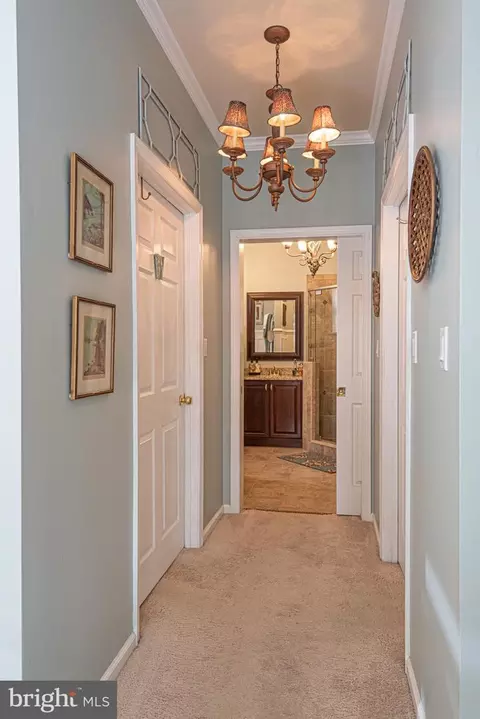 Entry Way - 36 Driftwood Ln, Ocean Pines, MD 21811 photo 11 of 19