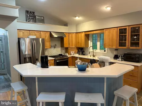 44 King Richard Rd, Berlin, MD 21811 photo 5