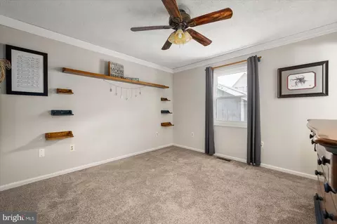 8 Nelson St, Berlin, MD 21811 photo 20