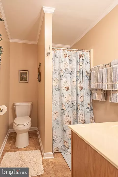 4 Castle Dr, Ocean Pines, MD 21811 photo 49