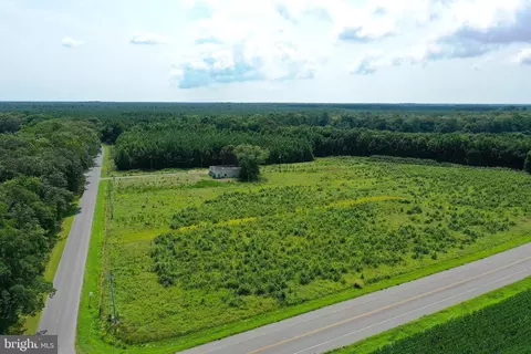 1637 Dun Swamp Rd, Pocomoke City, MD 21851