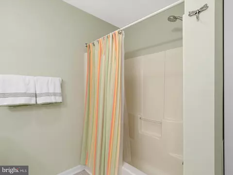 102 Ann Ct, Berlin, MD 21811 photo 47