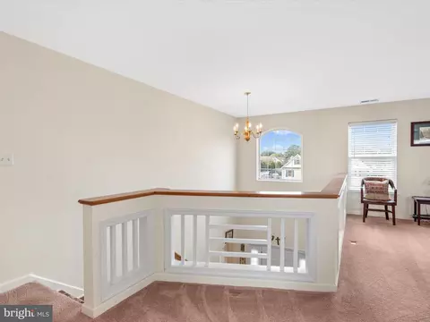 102 Ann Ct, Berlin, MD 21811 photo 38