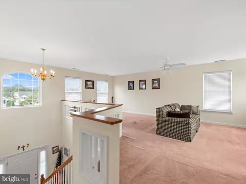 102 Ann Ct, Berlin, MD 21811 photo 39