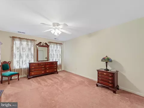 102 Ann Ct, Berlin, MD 21811 photo 45