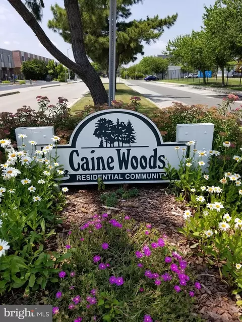 13705 Barge Rd, Ocean City, MD 21842