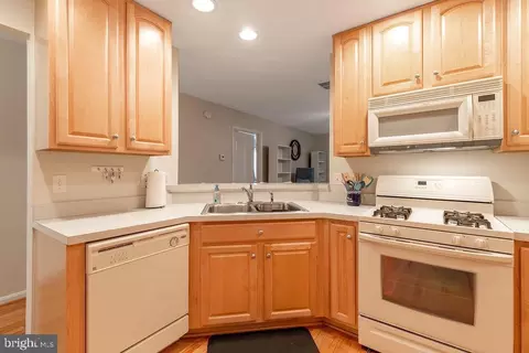 10 Tangle Wood Ct, Ocean Pines, MD 21811 photo 11