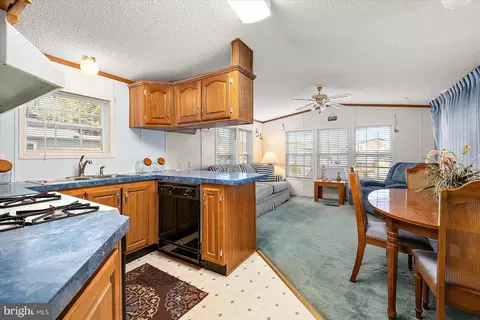 456 Timberline Cir, Berlin, MD 21811 photo 2