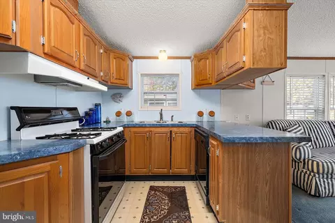 456 Timberline Cir, Berlin, MD 21811 photo 11