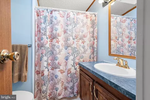 456 Timberline Cir, Berlin, MD 21811 photo 18