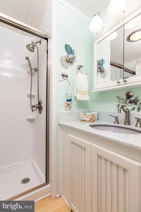 276 Woodhaven Ct, Berlin, MD 21811 photo 22