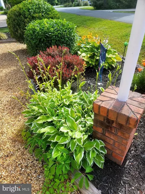 29 Lookout Pt, Ocean Pines, MD 21811 photo 52