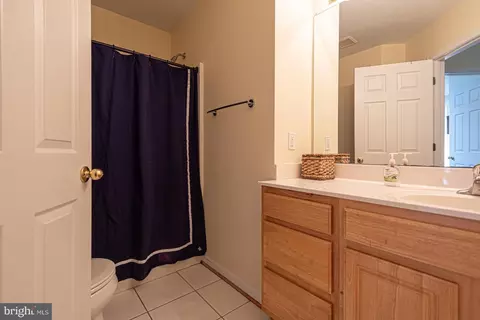 Bath - 702 Loop Rd, Ocean City, MD 21842 photo 9 of 11