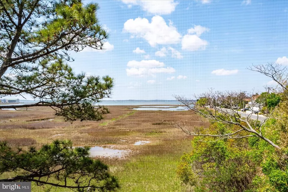View/Area - 119 Old Landing Rd #205A, Ocean City, MD 21842 photo 2 of 6