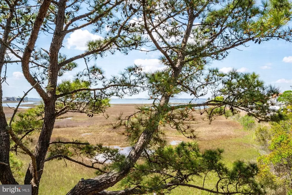 Other - 119 Old Landing Rd #205A, Ocean City, MD 21842 photo 2 of 4