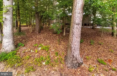 Exterior - 6 Duck Cove Cir, Ocean Pines, MD 21811 photo 10 of 45