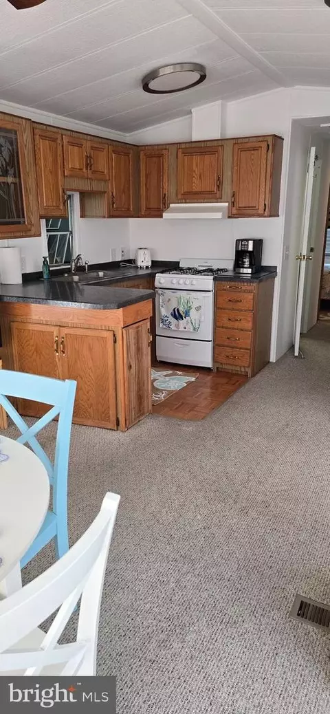 319 Dolphin Dr, Berlin, MD 21811 photo 18